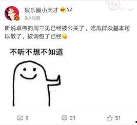 卓伟爆料出狱视频大全最新,揭秘出狱视频大全背后的真相与内幕  第1张