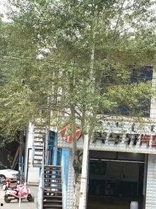 帅府最新爆料,最新爆料揭示不为人知的幕后真相 第1张 帅府最新爆料,最新爆料揭示不为人知的幕后真相 第1张